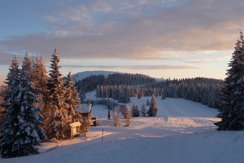 Winter im Hochschwarzwald im hotel Schlehdorn