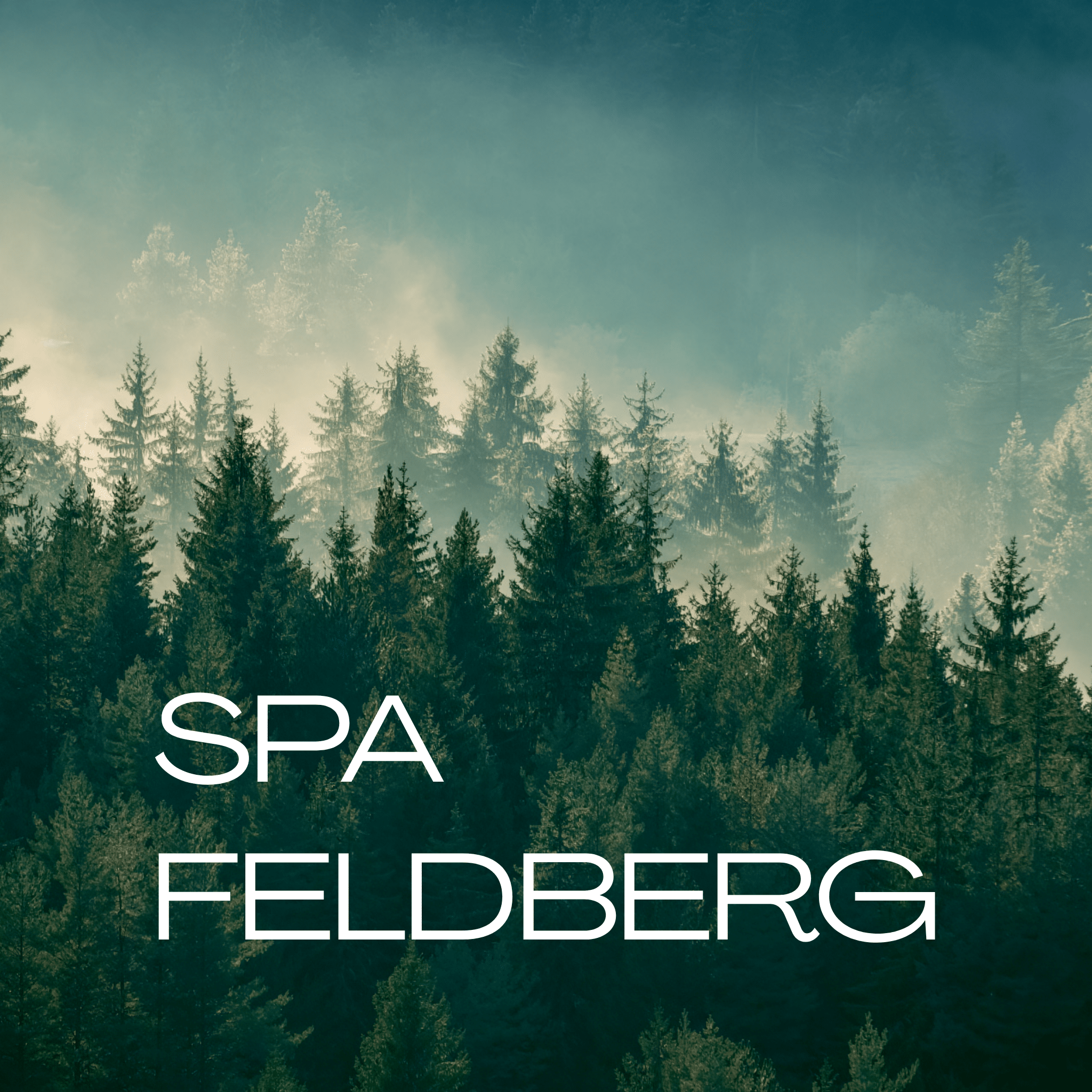 spa-feldberg-im-hotel-schlehdorn-wellnesshotel-hochschwarzwald